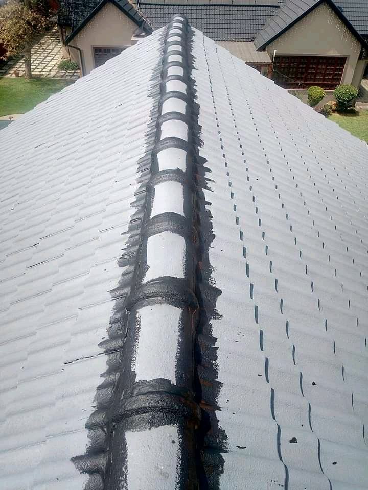 roof leak repairs