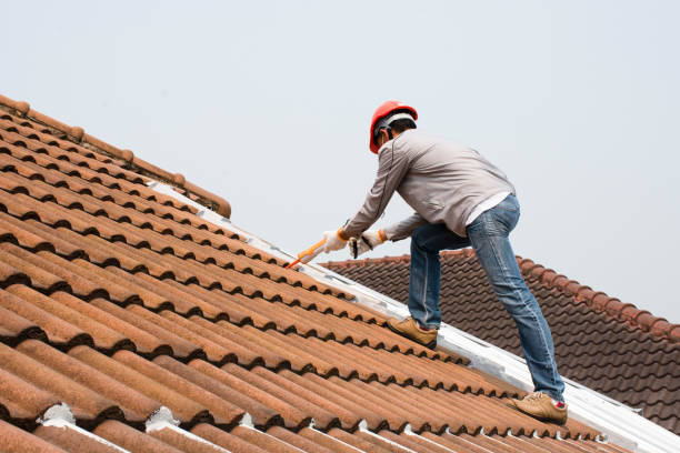 Roof Tile Repairs Edenvale